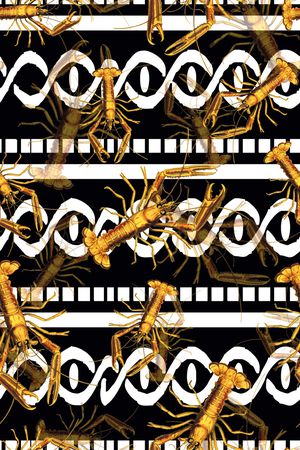 条纹印花华亿平台图片