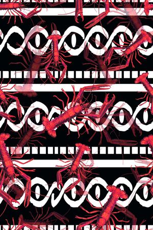 条纹印花华亿平台图片