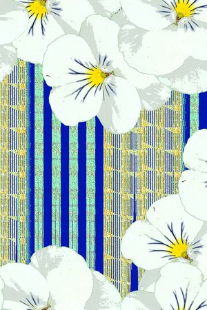 条纹印花华亿平台图片