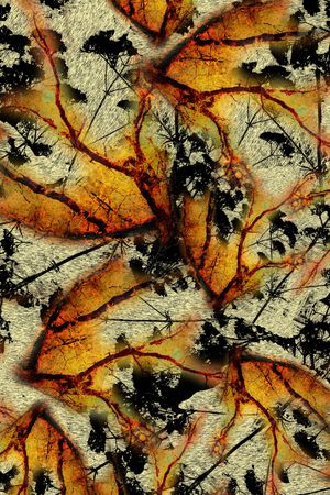 朦胧花卉印花华亿平台图片