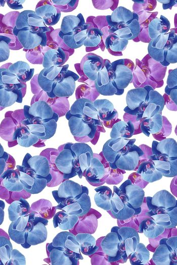 手绘花卉印花华亿平台图片