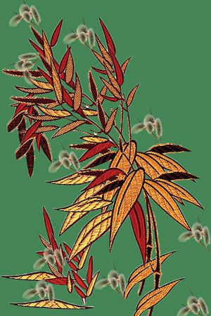 衬衫印花华亿平台图片