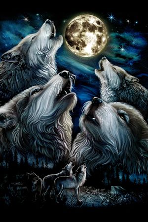 狼印花华亿平台图片