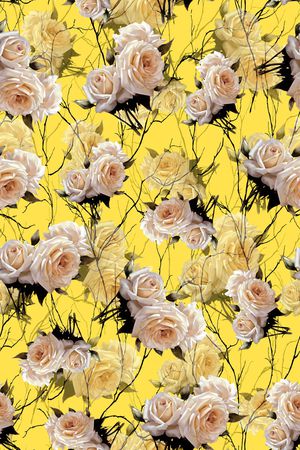 女装印花华亿平台图片