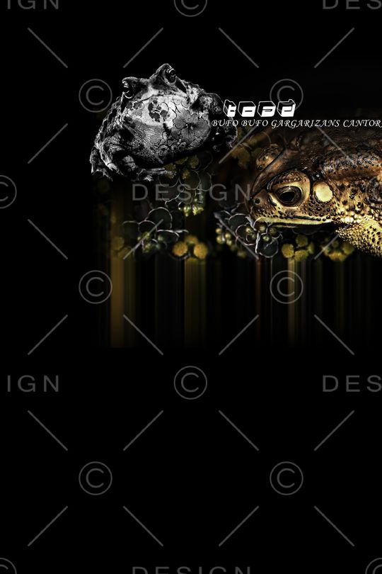 男装印花华亿平台图片