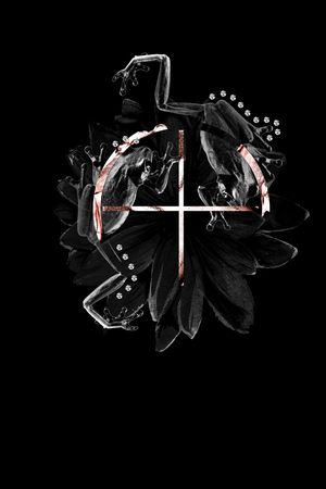 男装印花华亿平台图片