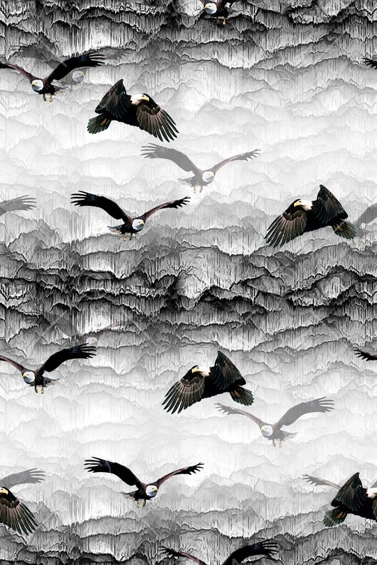 老鹰印花华亿平台图片