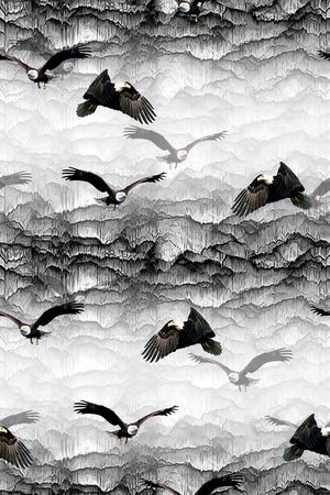 老鹰印花华亿平台图片