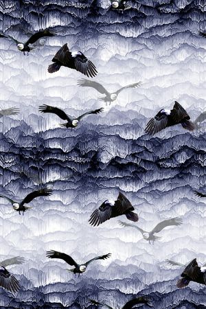 老鹰印花华亿平台图片