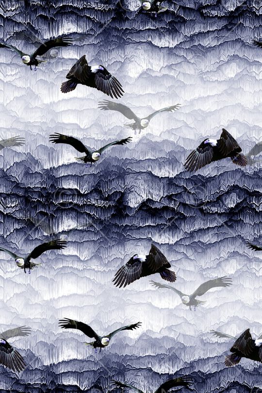 老鹰印花华亿平台图片