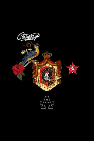 男装印花华亿平台图片