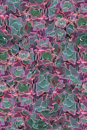 植物印花华亿平台图片