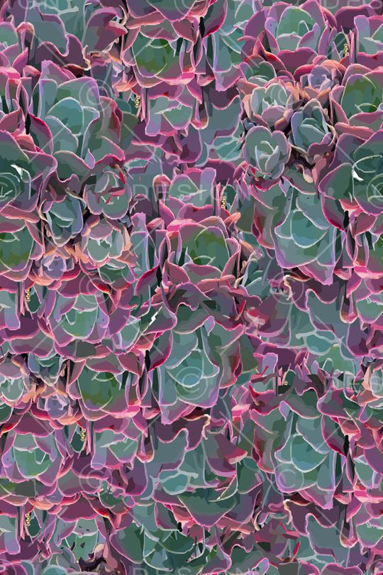 植物印花华亿平台图片