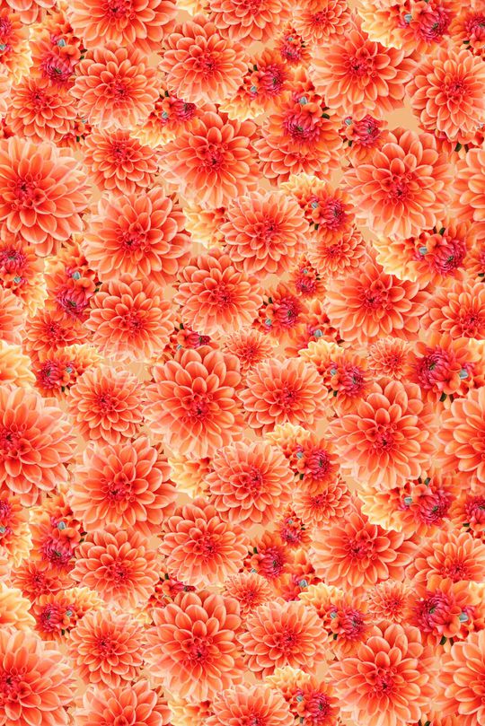 春夏华亿平台印花华亿平台图片