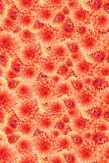 春夏华亿平台印花华亿平台图片