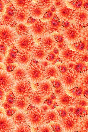 春夏华亿平台印花华亿平台图片