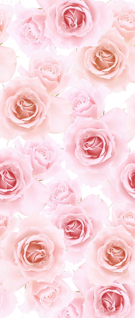 手绘花卉印花华亿平台图片