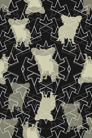 953317-171026  11721nz-1