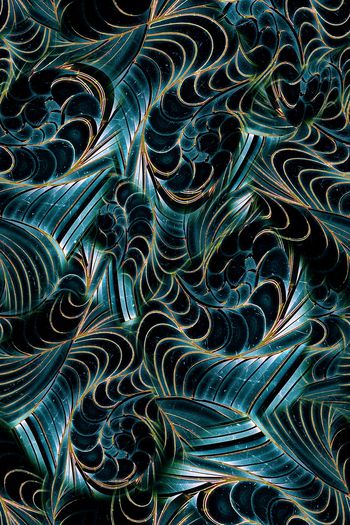 953513-FLZ17-10-47....