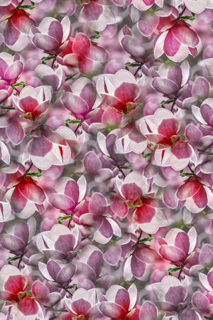 3D立体印花华亿平台图片