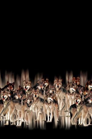 抽象男装印花华亿平台图片