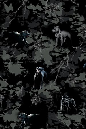 狗犬印花华亿平台图片