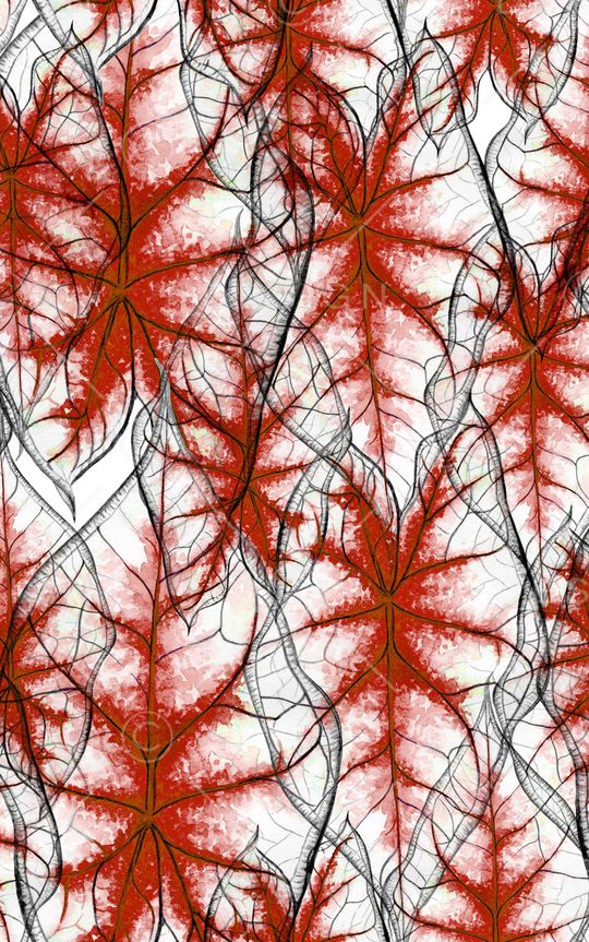 线条印花华亿平台图片