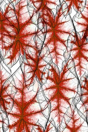 线条印花华亿平台图片