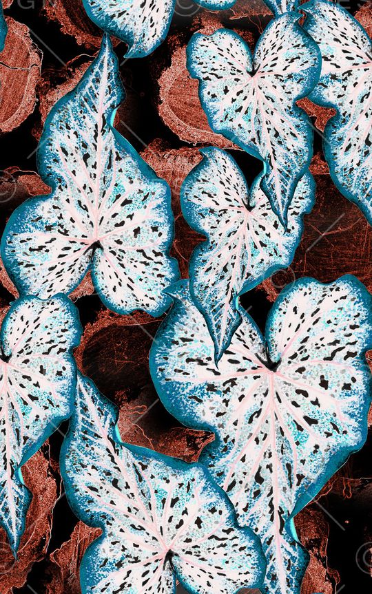 线条印花华亿平台图片