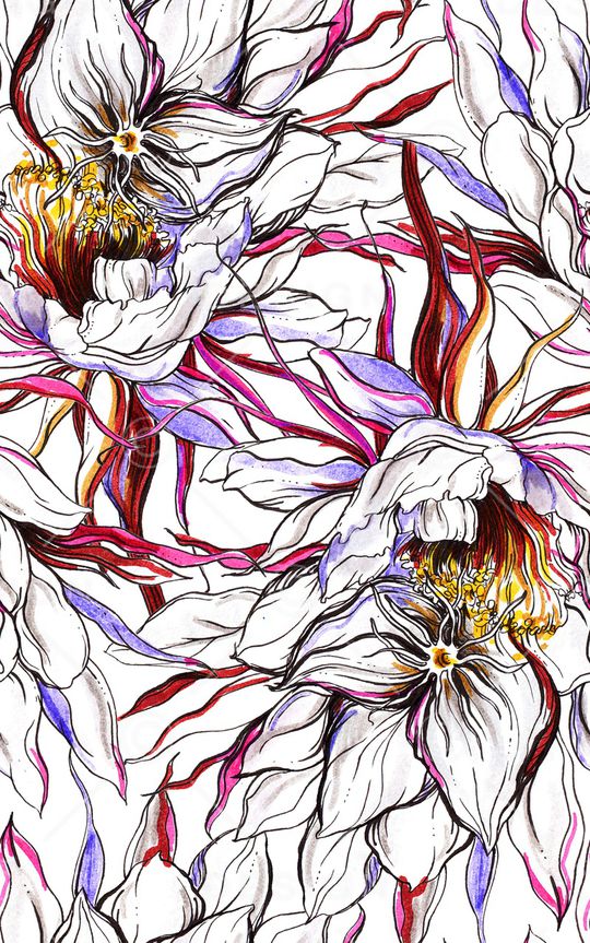 线条印花华亿平台图片