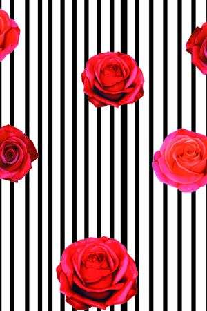 淑女印花华亿平台图片