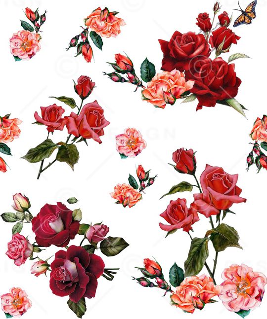 手绘玫瑰印花华亿平台图片