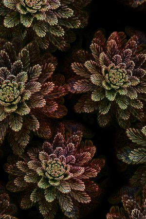 3D立体印花华亿平台图片