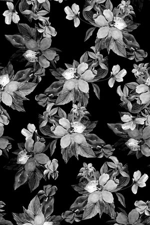 植物印花华亿平台图片