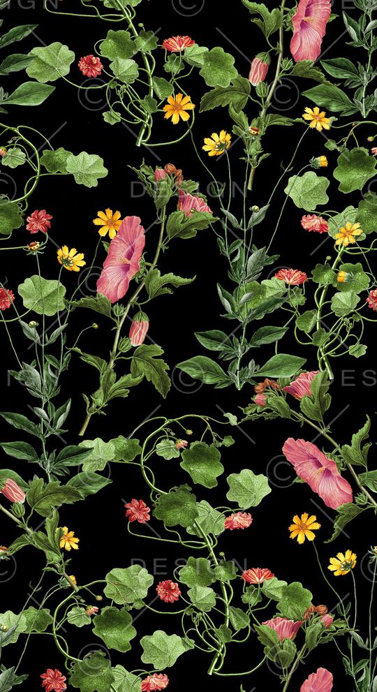 黑底花卉印花华亿平台图片