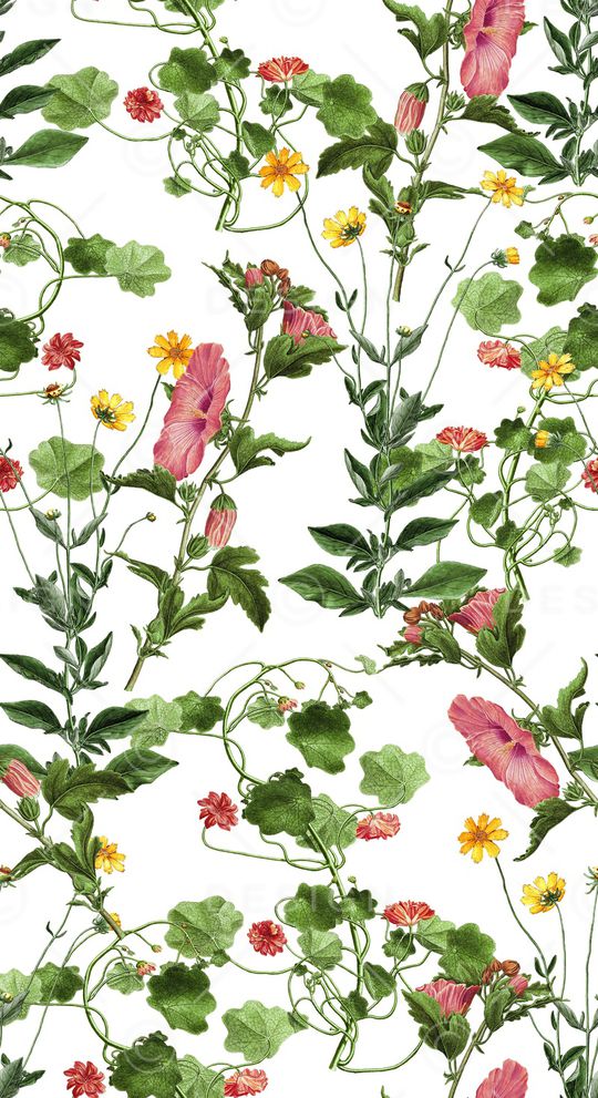 黑底花卉印花华亿平台图片