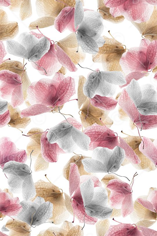 手绘花卉印花华亿平台图片