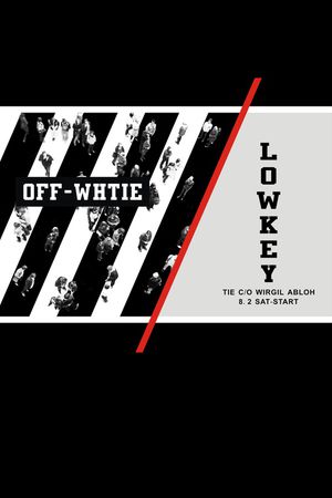 条纹印花华亿平台图片