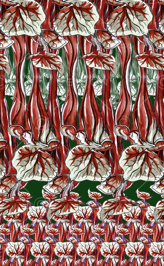 民族风印花华亿平台图片