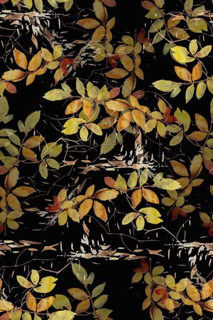 植物印花华亿平台图片