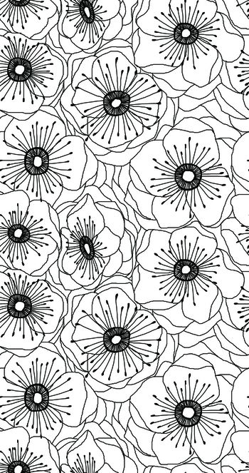 957043-绽放 四方