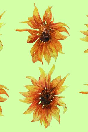 水彩花卉印花华亿平台图片