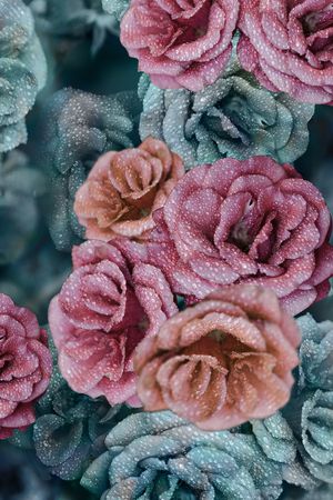 彩底花卉印花华亿平台图片