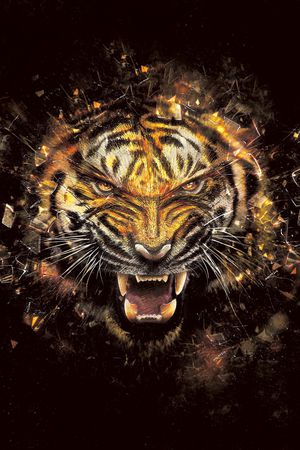 大牌男装印花华亿平台图片