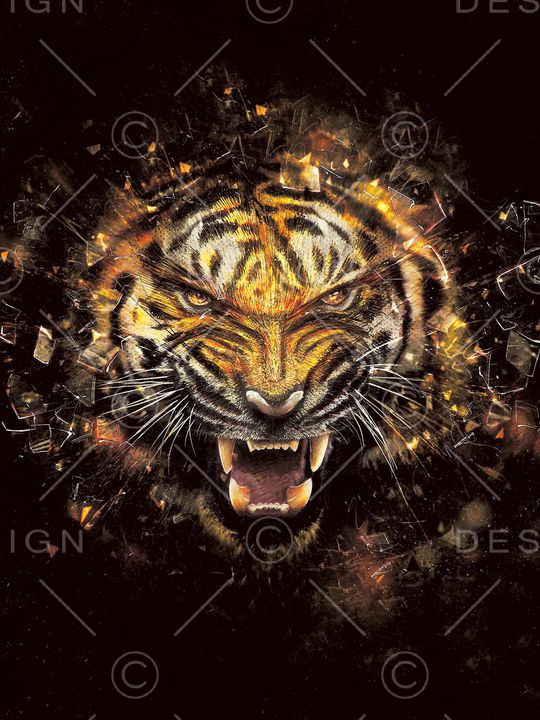 大牌男装印花华亿平台图片