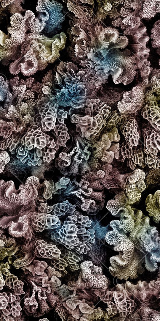 3D立体印花华亿平台图片