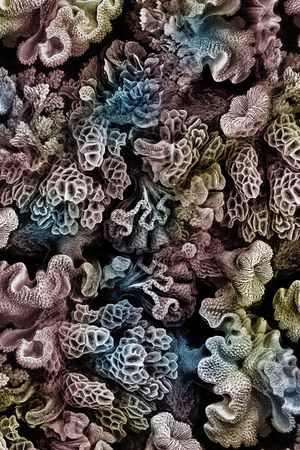 3D立体印花华亿平台图片