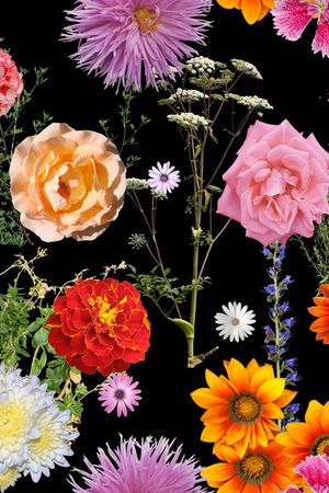 黑底花卉印花华亿平台图片