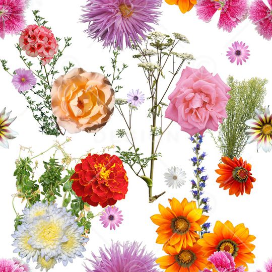 黑底花卉印花华亿平台图片