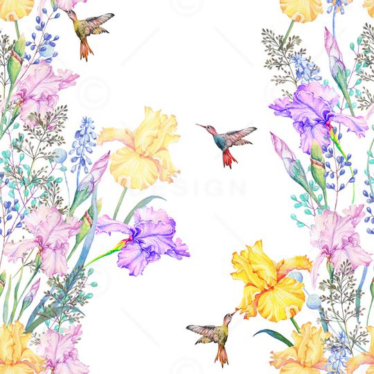 鸢尾花印花华亿平台图片